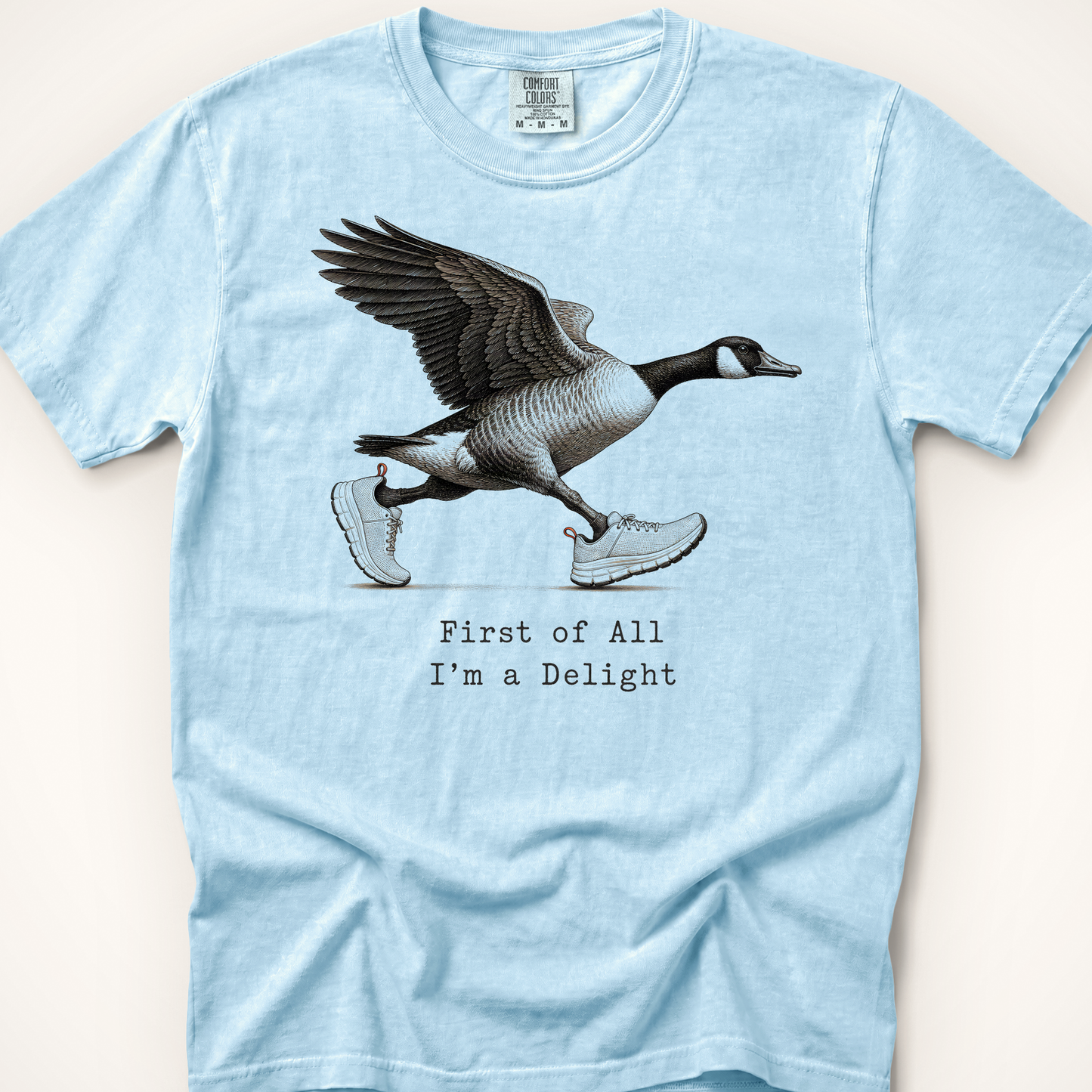 First of All Goose T-Shirt - Chambray