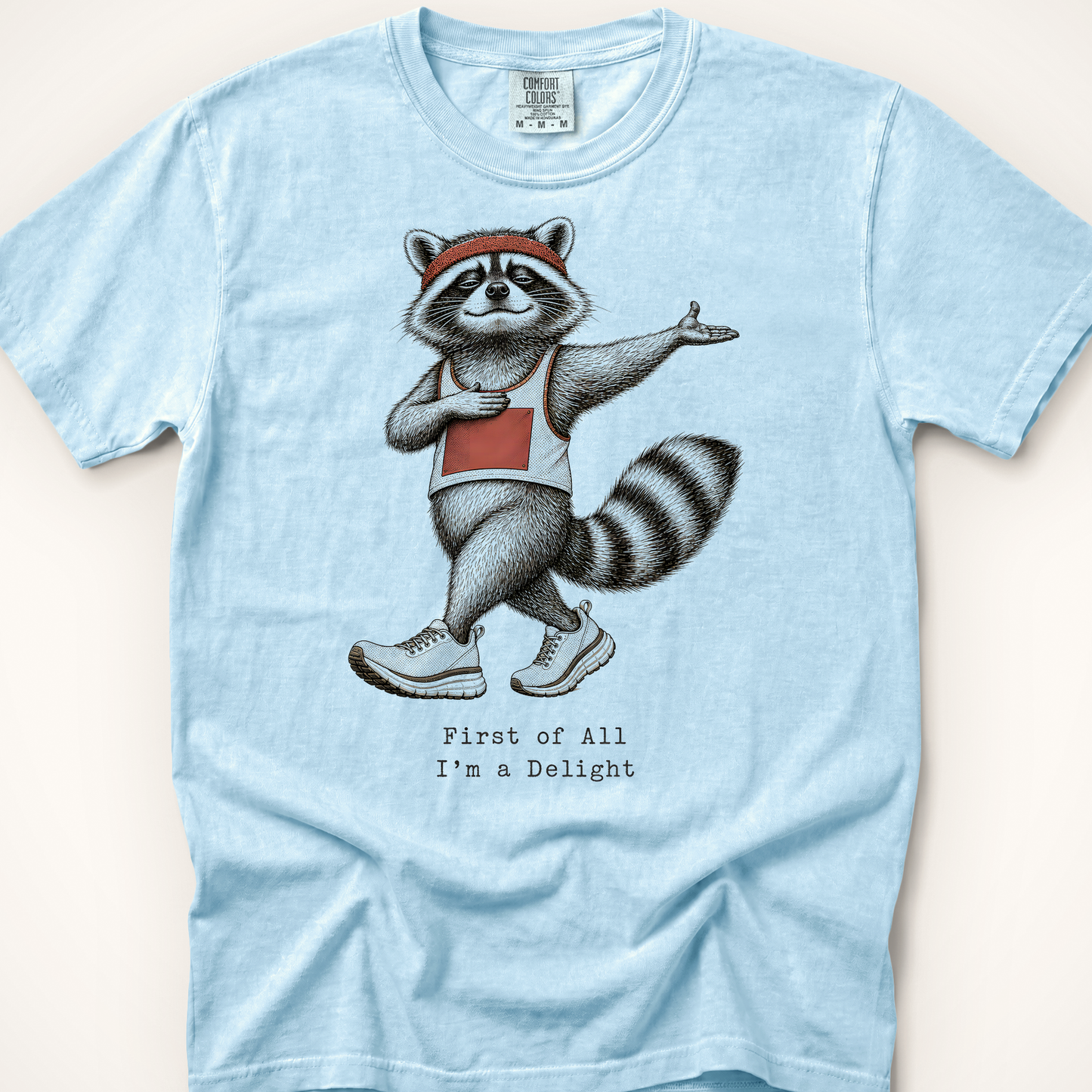 First of All Raccoon T-Shirt - Chambray