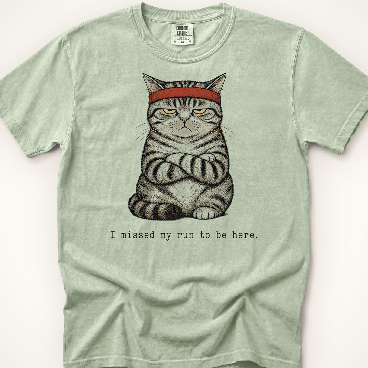 Missed My Run Cat T-Shirt - Bay