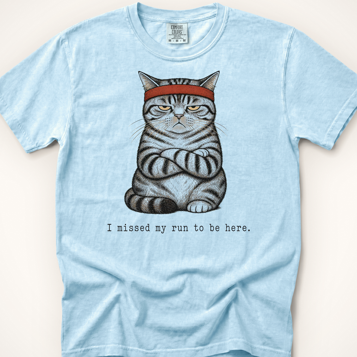 Missed My Run Cat T-Shirt - Chambray