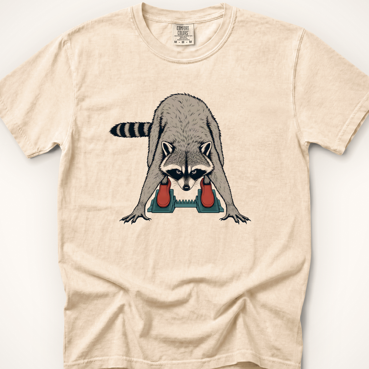 Raccoon in the Blocks T-Shirt - Ivory